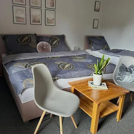 Bara Guest house Predni Vyton